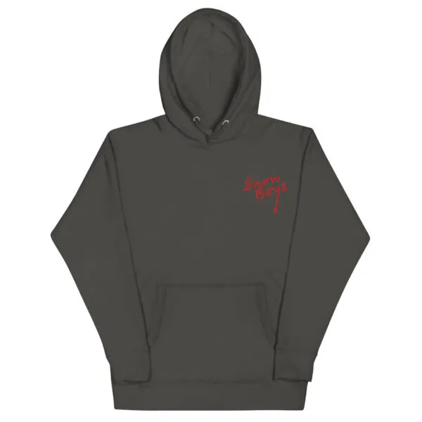 Snow Boys Embroidered Title Decal Hoodie - Image 5