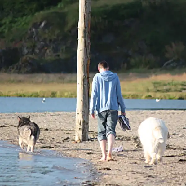 Author Simon Doyle, pictured on the beach